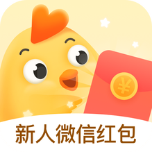 小鸡趣玩